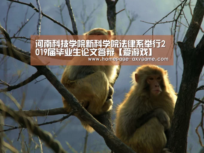 河南科技学院新科学院法律系举行2019届毕业生论文答辩【爱游戏】(图1) 爱游戏棋牌