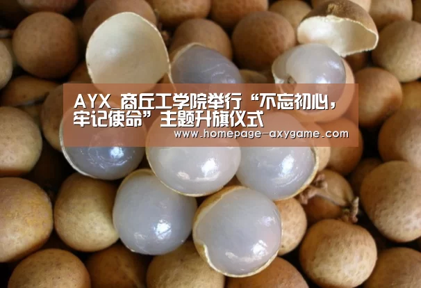 AYX_商丘工学院举行“不忘初心，牢记使命”主题升旗仪式