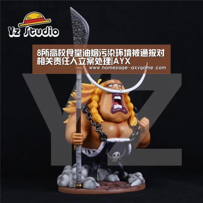 8所高校食堂油烟污染环境被通报对相关责任人立案处理|AYX(图3) 爱游戏